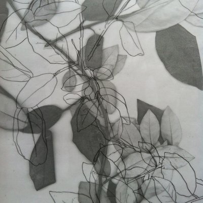 Botanical, 2014 (digitální) od Stephen Dow