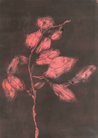 Listí I, 2015 (monotisk na papíře) od Stephen Dow