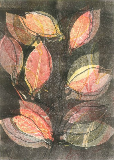 Půlnoční zahrada V, 2015 (monotisk na papíře) od Stephen Dow