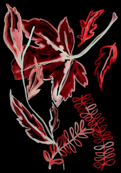 Noční flóra I, 2018 (digitální) od Stephen Dow