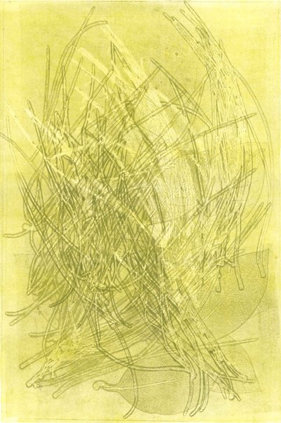 Letní zahrada V, 2015 (monotisk na papíře) od Stephen Dow