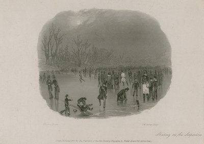 Bruslení na Serpentine, Hyde Park, Londýn od Stephen Pearce