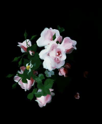 Růžové růže. Obraz Stuarta Parka (1862-1933) Soukromá sbírka. od Stuart Park