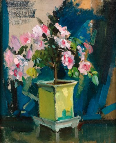 Camellia, kolem roku 1920 (olej na panelu) od Sunderland Rollison