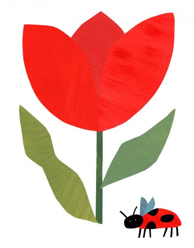 Červený tulipán a beruška od Susan Black