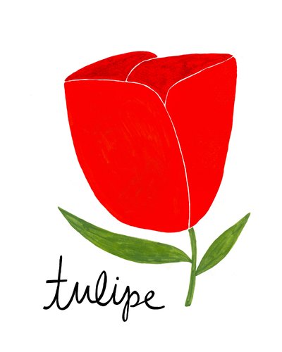 Zářivě červený tulipán od Susan Black