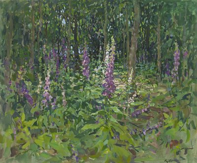 Foxgloves od Susan Ryder