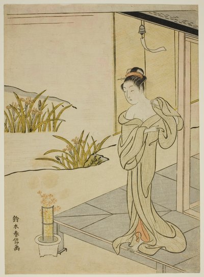 Léto, ze série "Nové verze květin čtyř ročních období (Shinpan furyu shiki no hana)" od Suzuki Harunobu