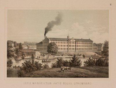 Bavlna, Stromsbro, Švédsko, kolem roku 1840 (barevné lito) od Swedish School
