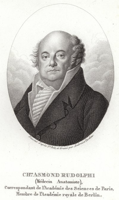Karl Asmund Rudolphi od Swedish School