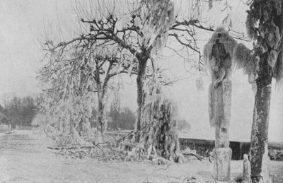 Na Paquis v Ženevě, zima 1896 (černobílá fotografie) od Swiss Photographer