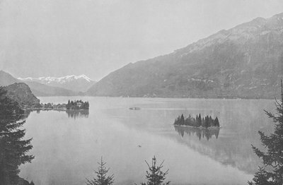 Iseltwald, Lac de Brienz (černobílá fotografie) od Swiss Photographer