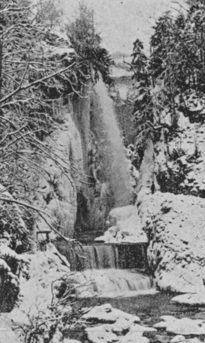 Soutěsky Taubenloch, poblíž Bielu v zimě (černobílá fotografie) od Swiss Photographer
