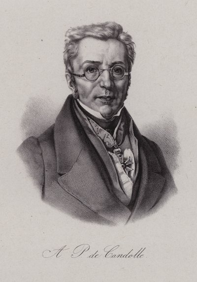 Augustin Pyramus z Kuby, švýcarský botanik (rytina) od Swiss School