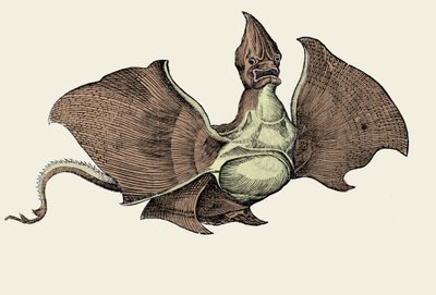 Fantastická mořská příšera, ilustrace z 