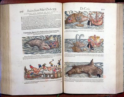 Spojení velryby a lovu velryb, z Appendix historiae quadrupedum, viviparorum et ovipororum od Conrada Gesnera (1516-65), švýcarského přírodovědce, 1554 (barevná rytina) od Swiss School