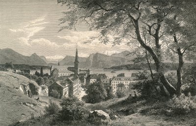 Vojtěška od Swiss School