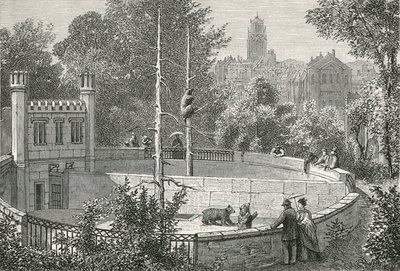 Medvědí jáma v Bernu od Swiss School