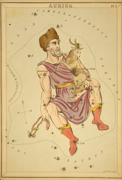 Auriga, ilustrace z 