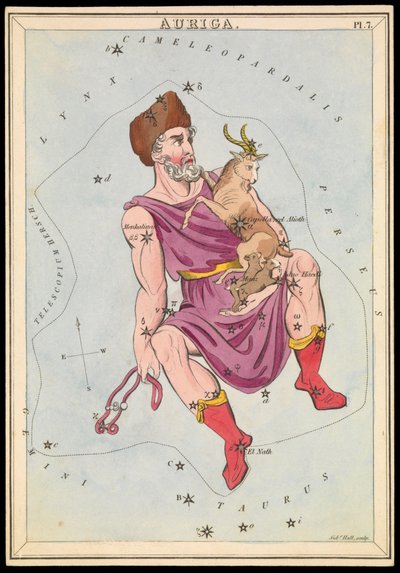Auriga, asi 1825 (karta, papír, hedvábí ) od Sydney Hall