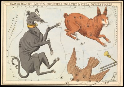 Canis Major. Lepus, Columba Noachi  Cela Sculptoris, asi 1825 (karta, papír, tkanivo ) od Sydney Hall