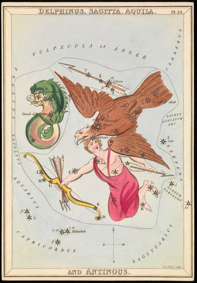 Delphinus, Sagitta, Aquila a Antinous, asi 1825 (karta, papír, tkanivo) od Sydney Hall