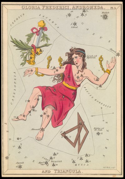 Gloria Frederich, Andromeda a Triangula, asi 1825 (karta, papír, hedvábí ) od Sydney Hall