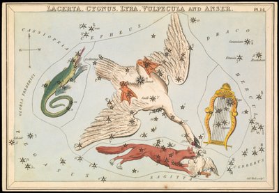 Lacerta, Cygnus, Lyra, Vulpecula a Anser, asi 1825 (karta, papír, tkanivo) od Sydney Hall