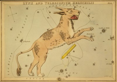 Lynx a Telescopium Herschilii, ilustrace z 