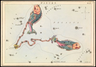 Ryby, asi 1825 (karta, papír, tkanivo ) od Sydney Hall