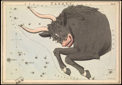 Taurus, asi 1825 (karta, papír, tkanivo ) od Sydney Hall
