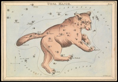 Ursa Major, asi 1825 (karta, papír, tkanivo) od Sydney Hall