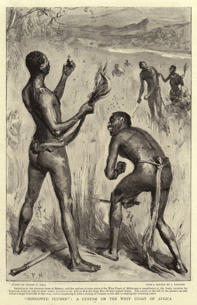 Půjčené plumes, zvyk na západním pobřeží Afriky od Sydney Prior Hall