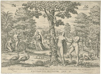 Zondeval Obrázky a obrázky knih (název série) od Symon Novelanus (attributed to)