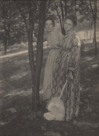 V lesích,c. 1899 (foto) od T. M. Edmiston