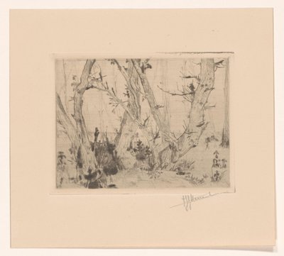 výhled na les od T. Sterrenburg (signed by artist)