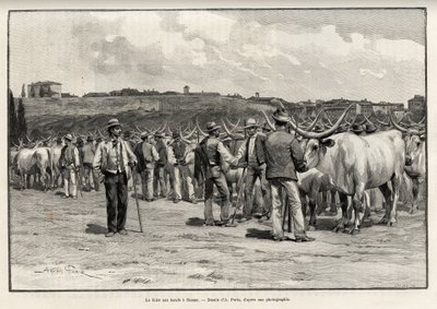 Veletrh hovězího v Sieně (Itálie). Rytina od Taylora k ilustraci příběhu „A travers la Tuscane““ od Eugena Muntze (1845-1902), v Le tour du Monde 1892, režie Edouard Charton (1807-1891), Hachette, Paříž. od T Taylor