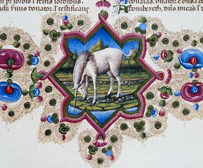 Hraniční vlys na úpatí stránky s jednorožcem, svazek II f 245, v, Bible Borso d