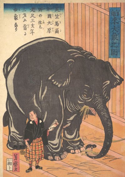 Pohled na velkého importovaného slona, 1863 Bunkyo 3, 4. měsíc. od Taguchi Yoshimori