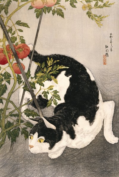 Kočka slídí kolem rostliny rajčete, 1931 (dřevěný tisk) od Takahashi Hiroaki