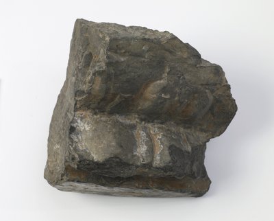 Fragment lotosového podstavce od Tang Dynasty Chinese School