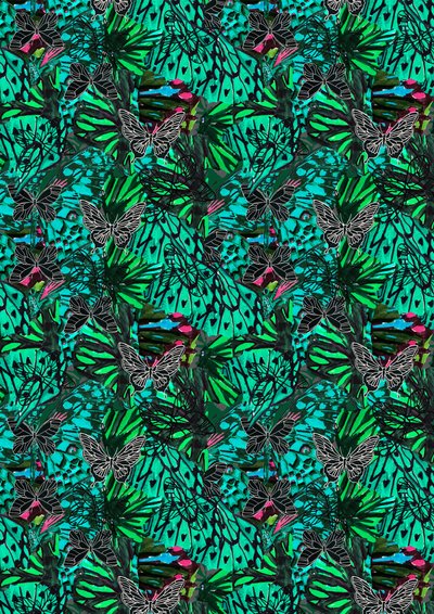 Papillon od Tara Whitehead