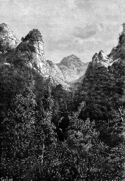 Madeira, Portugalsko, 1895. od Taylor
