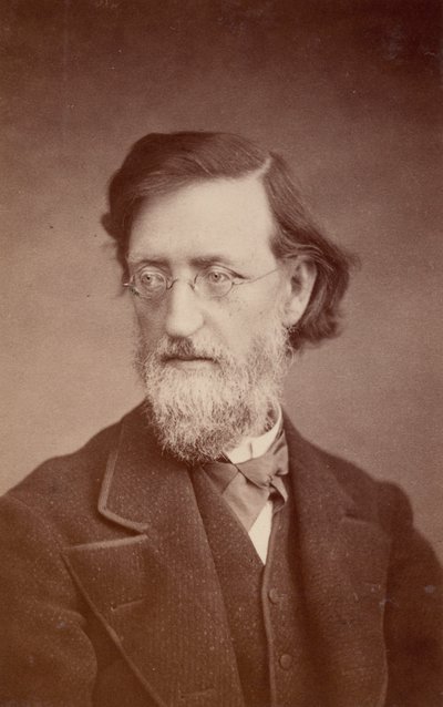 Portrét Johna Petera Lesleyho 1819-1903, prosinec 1875. od Taylor and Brown