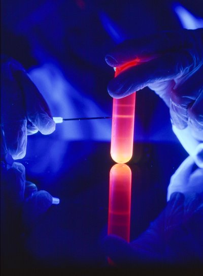 Extrakce nukleotidů RNA z plastové centrifugační zkumavky. od Ted Spiegel