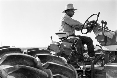 Rodinný farmář Ed Ker na ranči A.M. Ker je zemědělský hospodář, který pěstuje vojtěšku... od Ted Spiegel