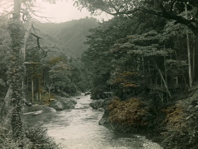 Podzimní les v oblasti Jamanaka, asi 1900-1915 (fotografie) od Teijiro Takagi