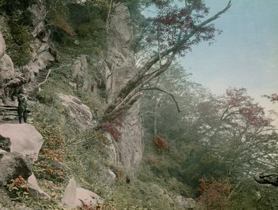 na cestě k vodopádům Kegon v Nikko, asi 1900-1915 (fotografie) od Teijiro Takagi
