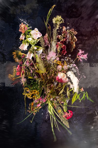 Kytice XXVIII, 2019 (foto) od Teis Albers