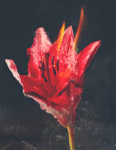 Combust, 2019 (kombinovaná média na plátně) od Teis Albers
